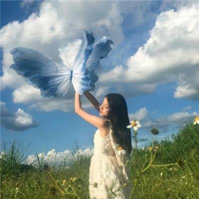 美国骗局